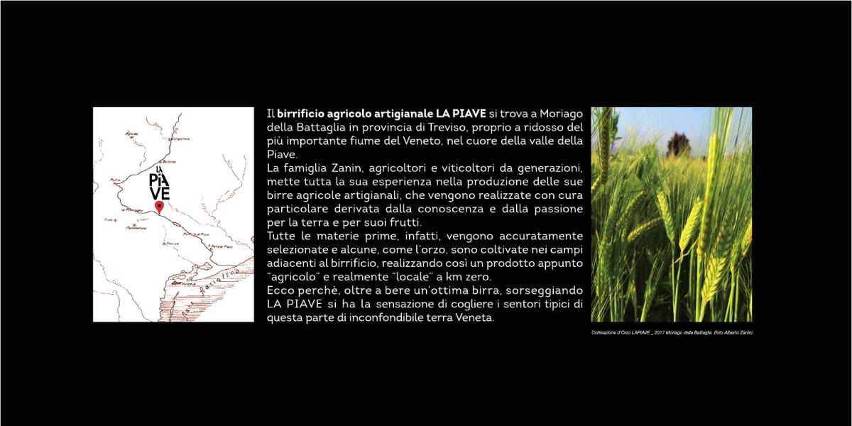 birra artigianale